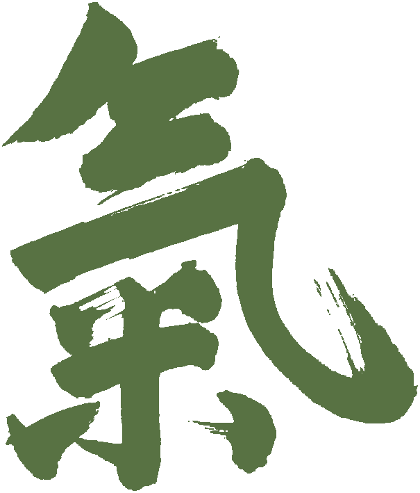 Ki-Aikido